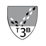 T3B
