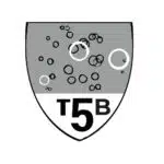 T5B
