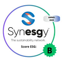 Badge Synesgy Reflexx 2025_web